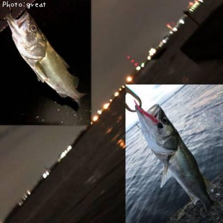 �����Х�