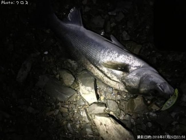 �����Х�