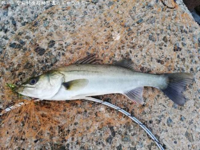 �����Х�