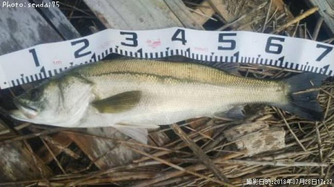 �����Х�