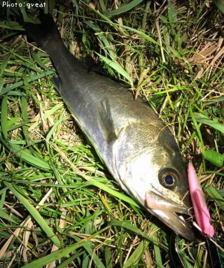 �����Х�