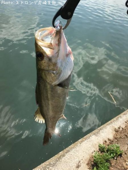 �����Х�