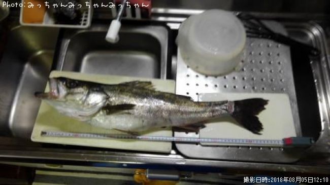 �����Х�