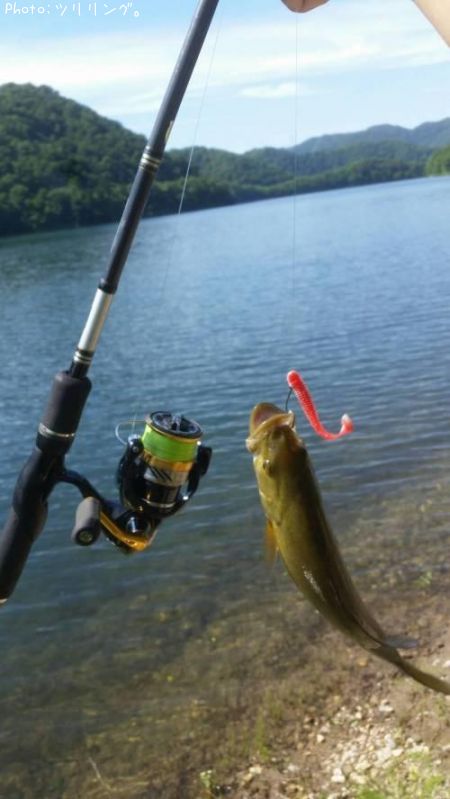 ���⡼��ޥ����Х�