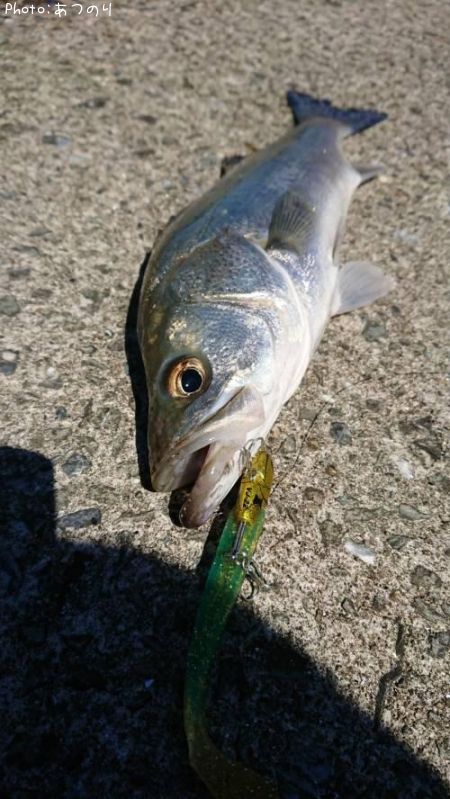 �����Х�