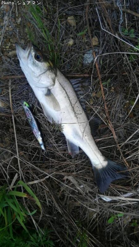 �����Х�