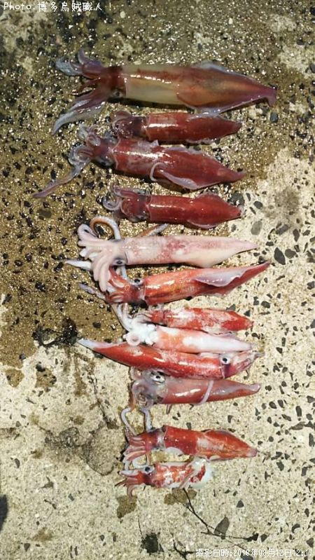 ���󥵥�����