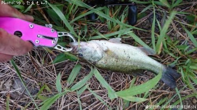 �֥�å��Х�