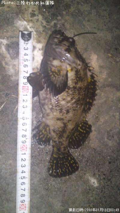 ����祽��