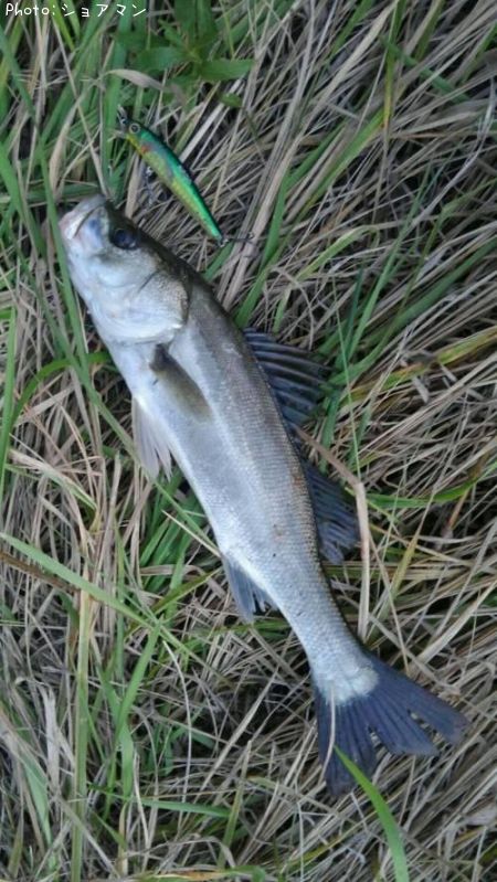 �����Х�