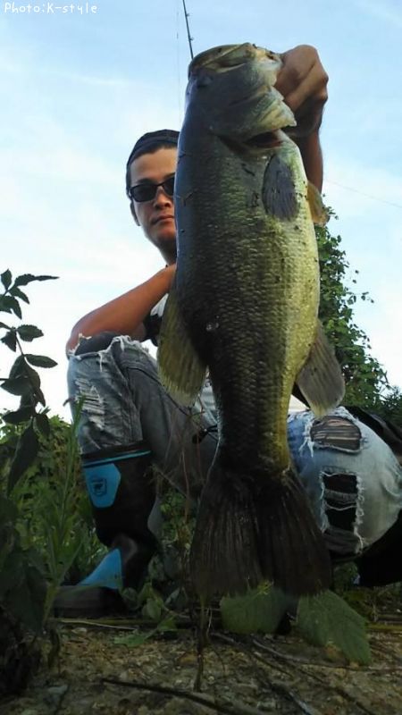 �֥�å��Х�