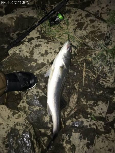 �����Х�