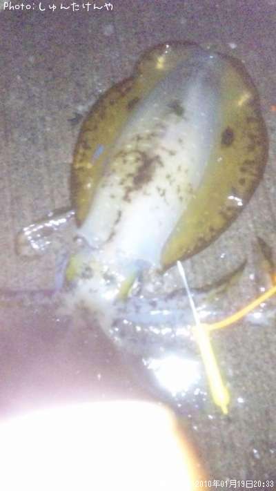 �����ꥤ��