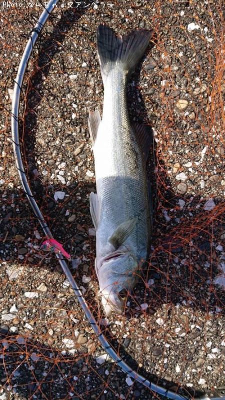 �����Х�