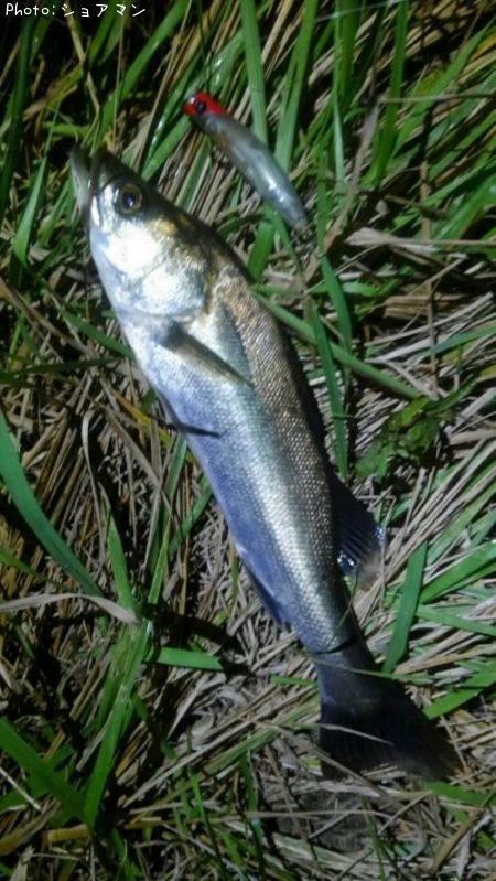 �����Х�