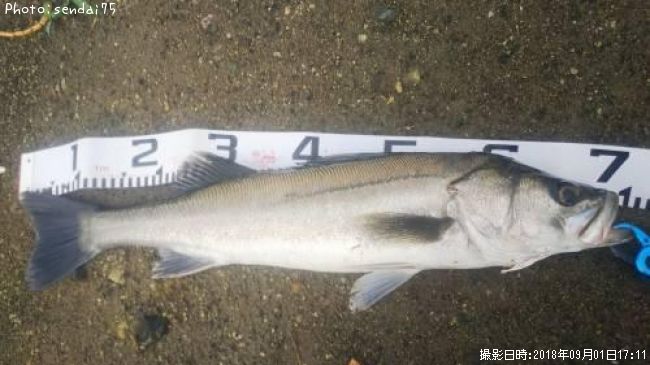 �����Х�