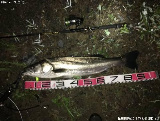 �����Х�