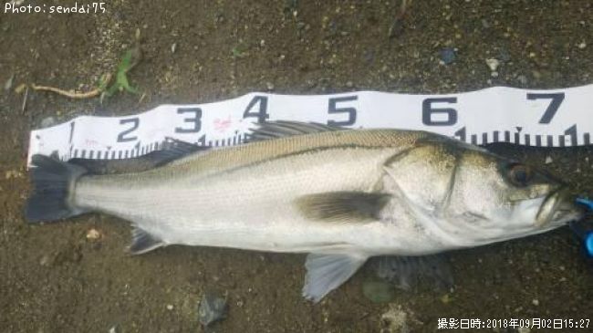 �����Х�