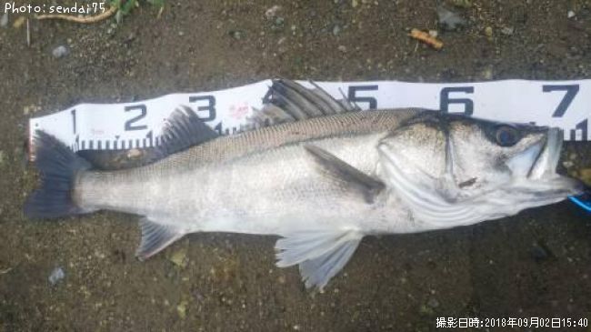 �����Х�