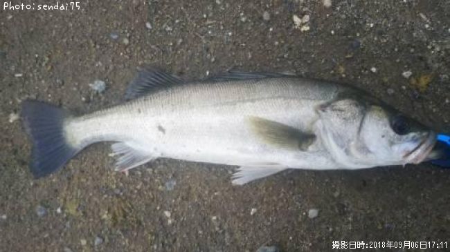 �����Х�