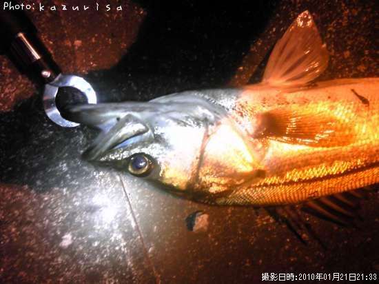 �����Х�