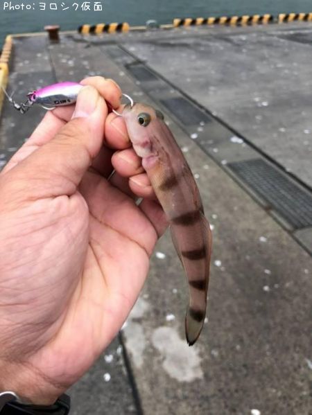 ��奦�����ϥ�