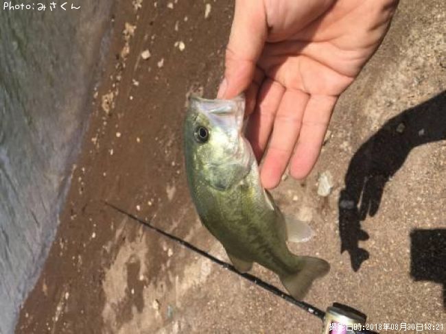 �֥�å��Х�