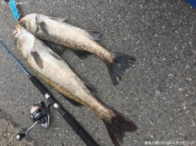 �����Х�