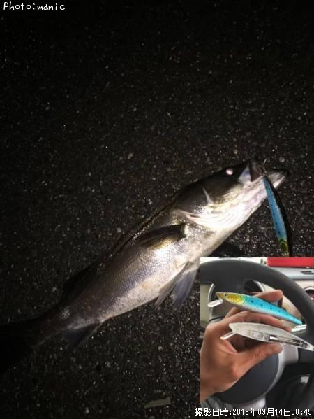 �����Х�