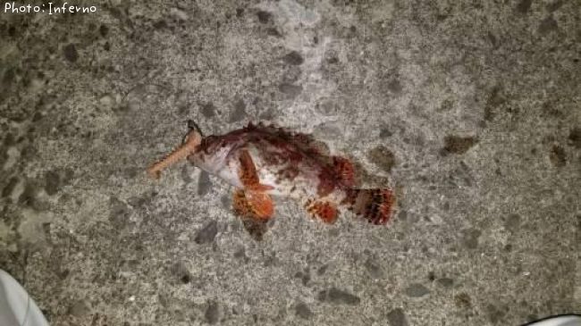 �������Х�