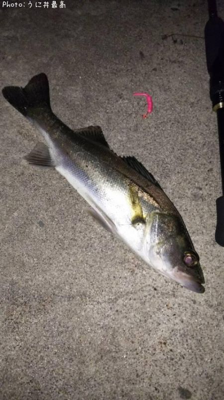 �����Х�