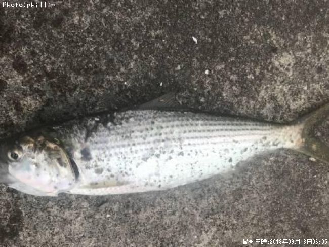 ���Υ���