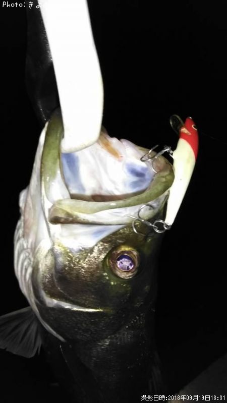 �����Х�