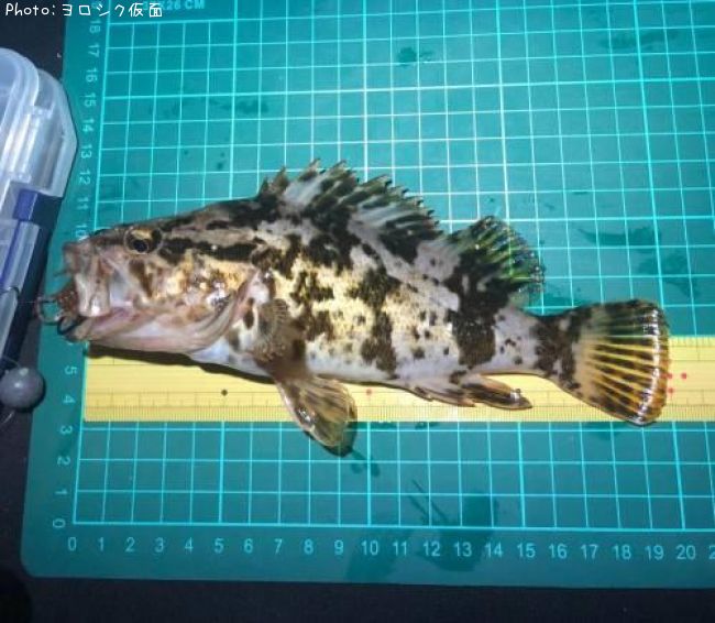 �����Υ���Х�