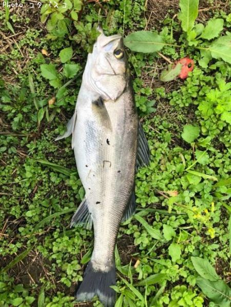 �����Х�