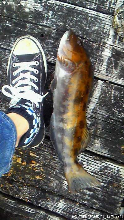 �����ʥ�