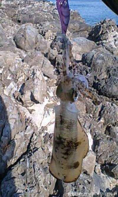 �����ꥤ��