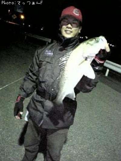 �ۥ�������