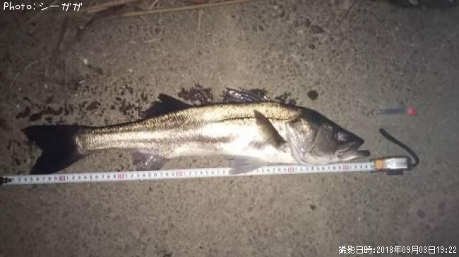 �����Х�