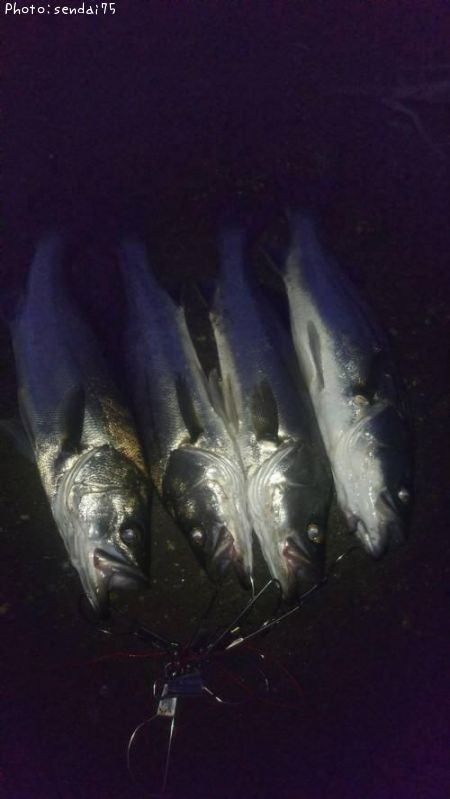 �����Х�