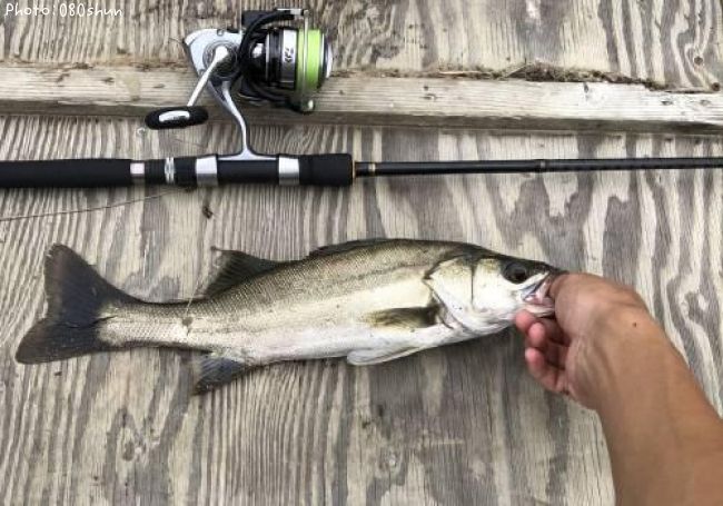 �����Х�