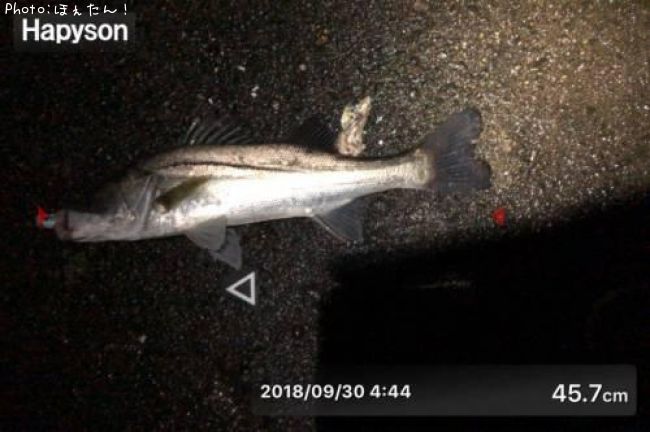 �����Х�