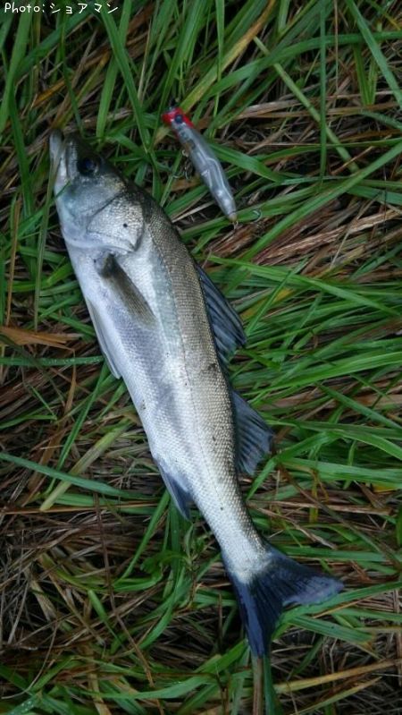 �����Х�