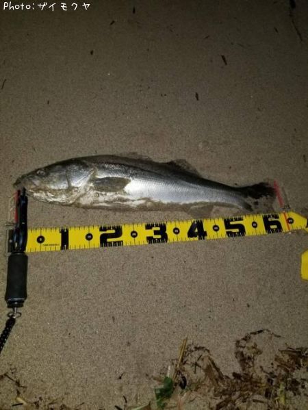 �����Х�