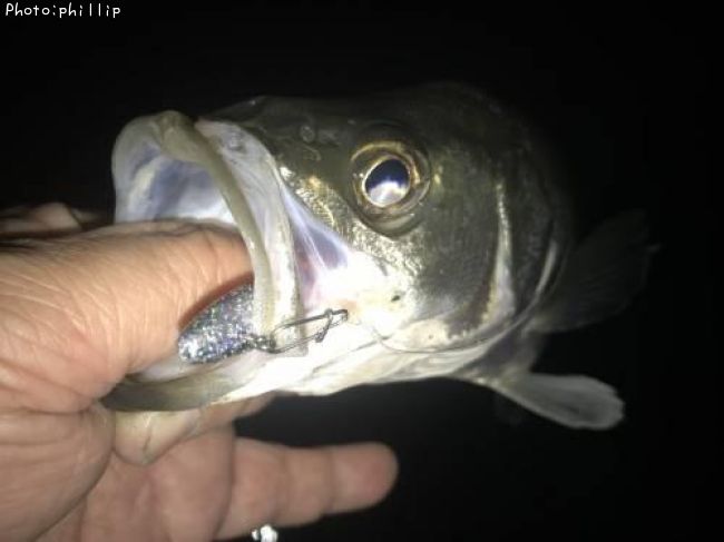 �����Х�