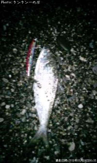 ���Υ���