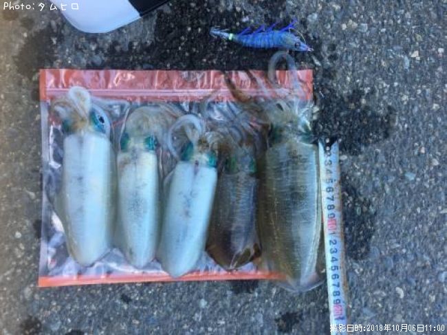 �����ꥤ��