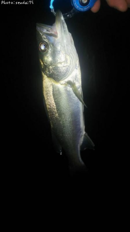 �����Х�