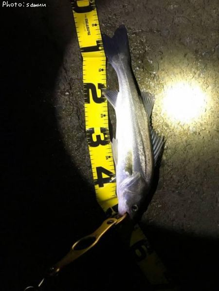 �����Х�