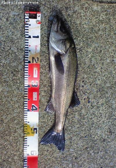 �ӣ��£���